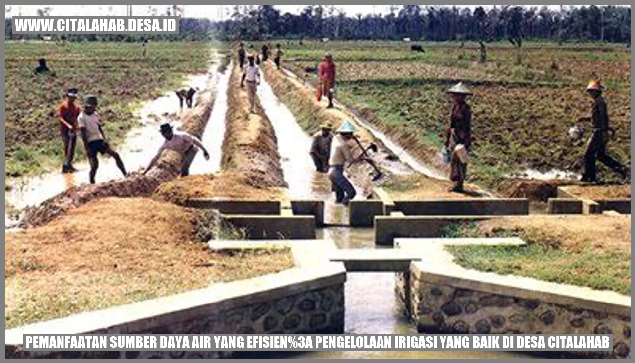 Pemanfaatan Sumber Daya Air yang Efisien: Pengelolaan Irigasi yang Baik di Desa Citalahab