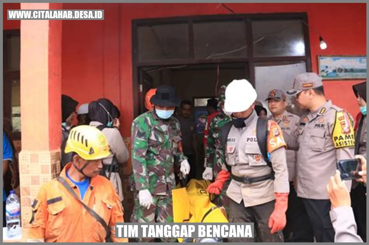 Tim Tanggap Bencana
